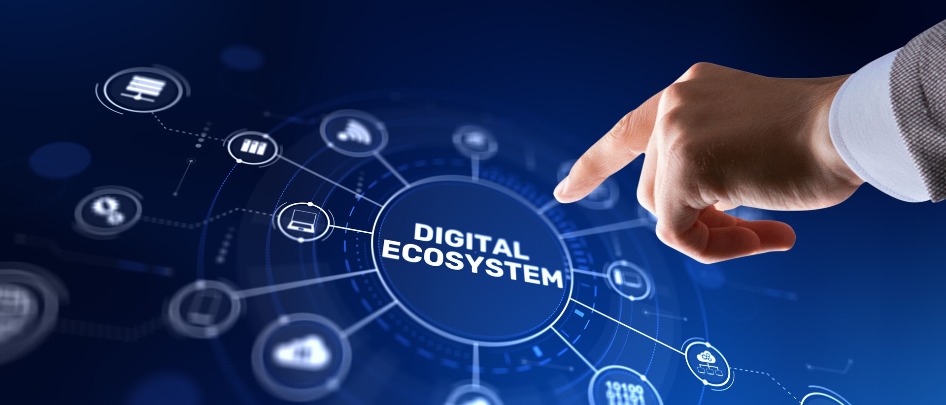 Digital Ecosystem Network, Technology Connection Concept